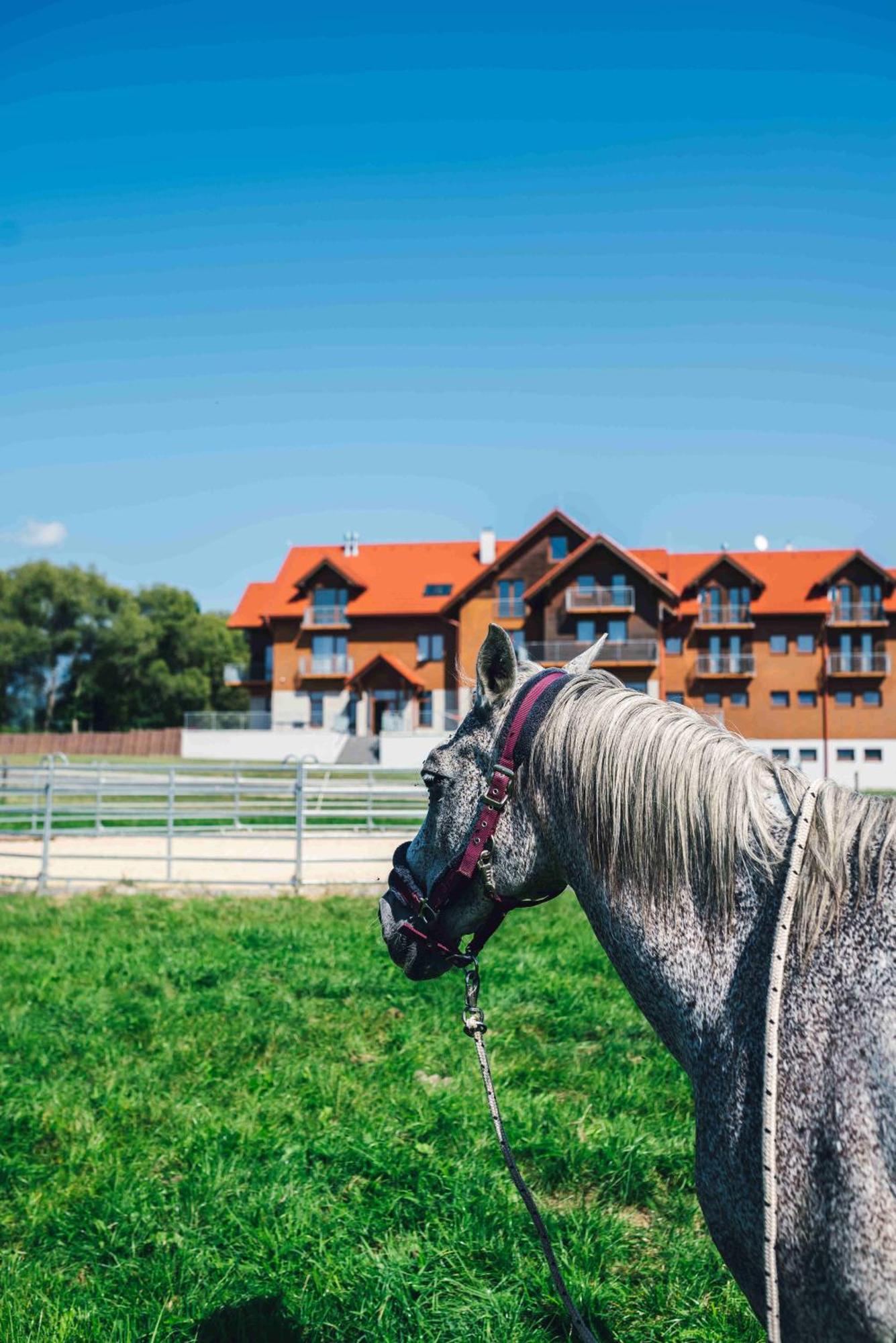 Penzion Kamence Ліптовський Мікулаш Екстер'єр фото