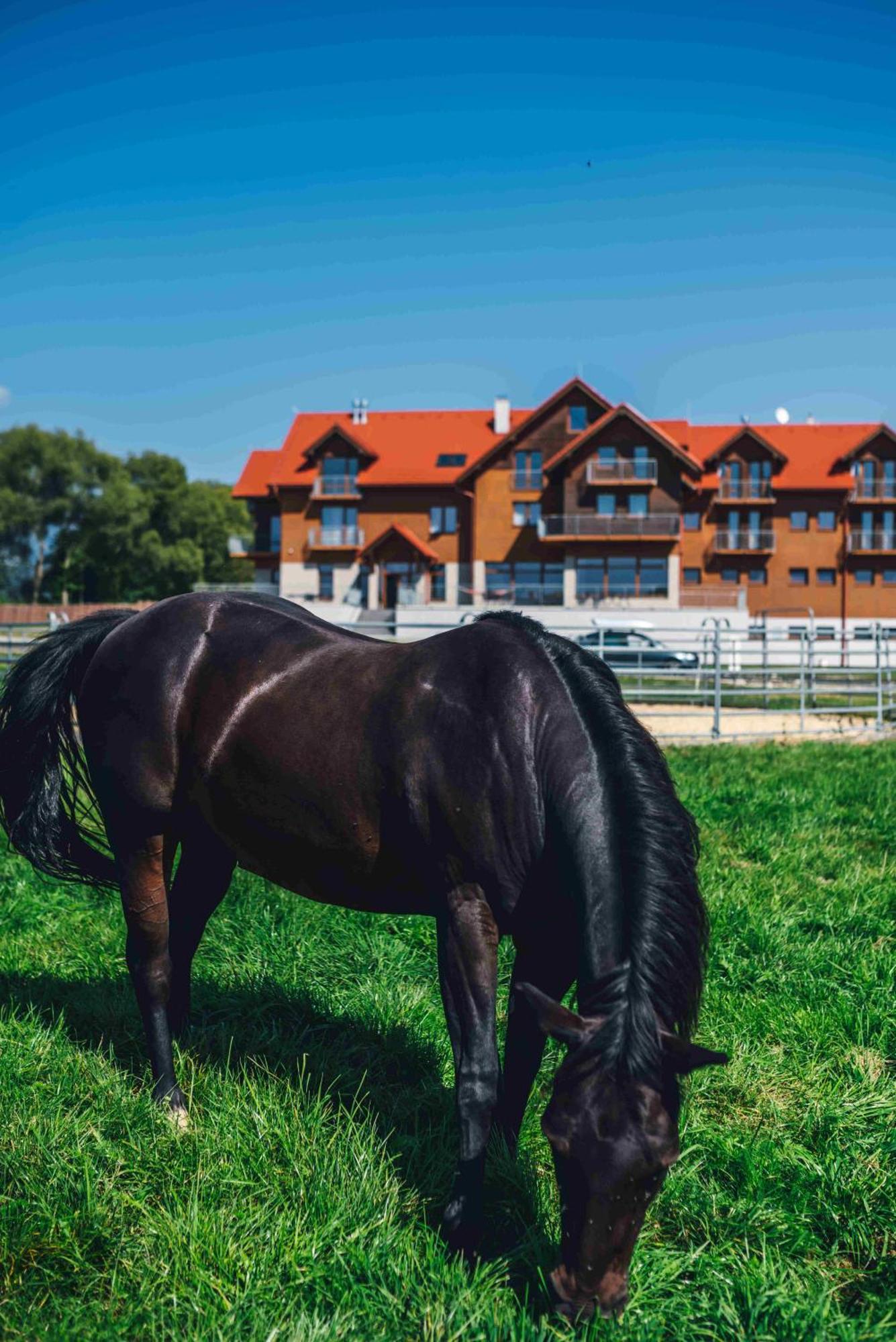 Penzion Kamence Ліптовський Мікулаш Екстер'єр фото